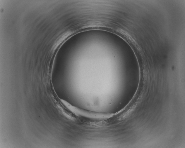 X0000068831129200605051229