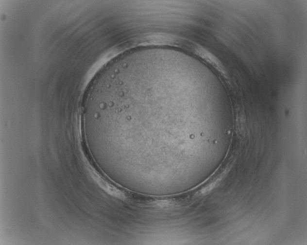 X0000068831130200605051229