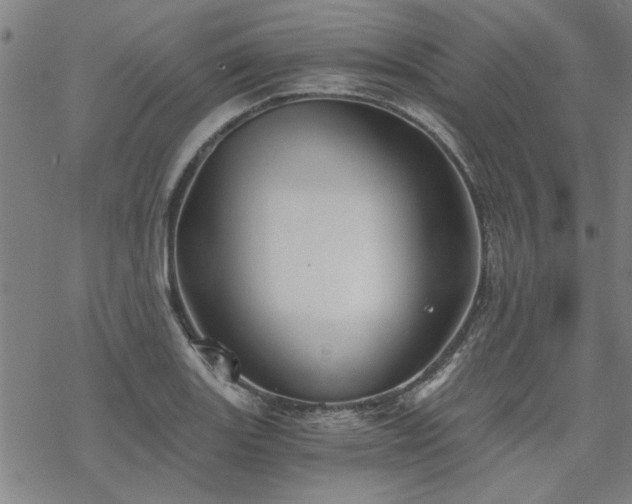 X0000068831131200605051229