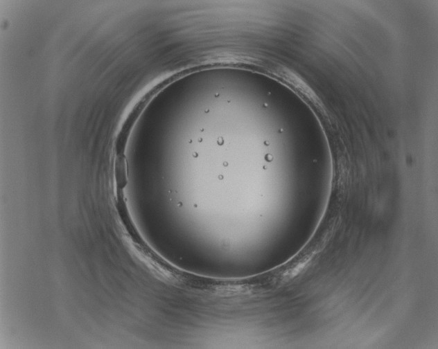 X0000068831132200605051229