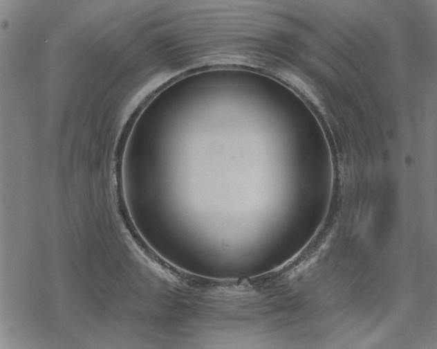 X0000068831133200605051229