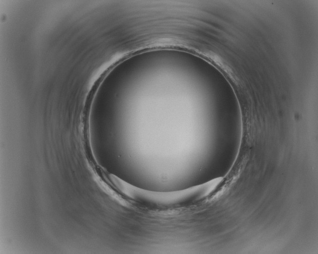 X0000068831134200605051229