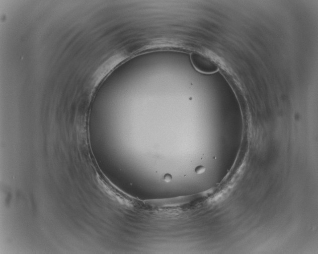 X0000068831137200605051229