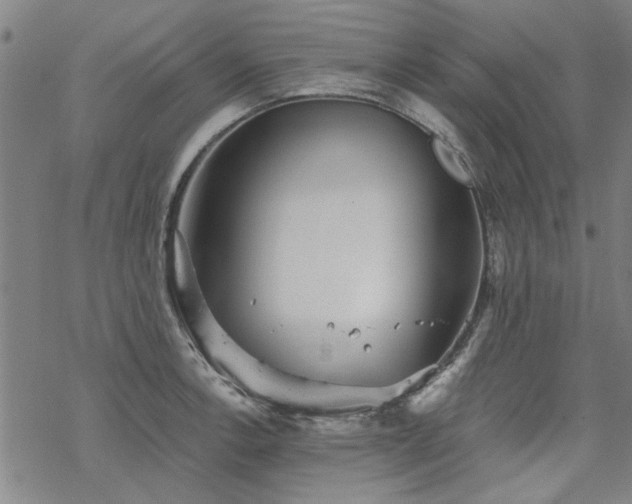 X0000068831138200605051229