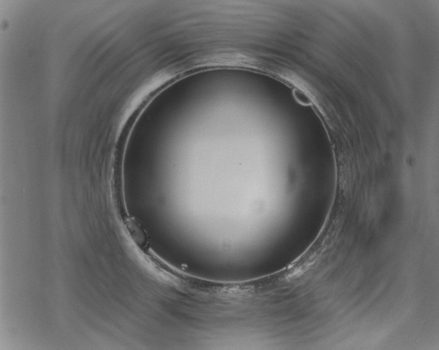 X0000068831139200605051229