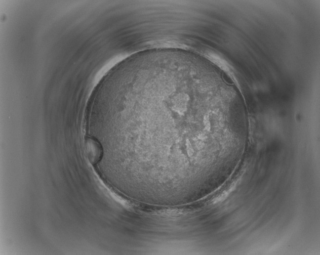 X0000068831141200605051229