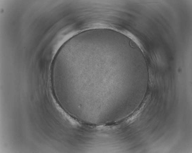 X0000068831142200605051229