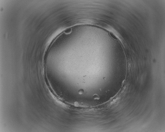 X0000068831143200605051229