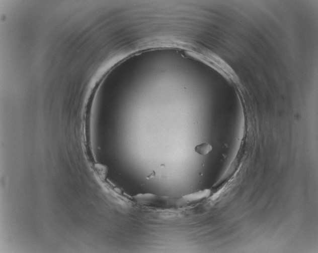 X0000068831144200605051229