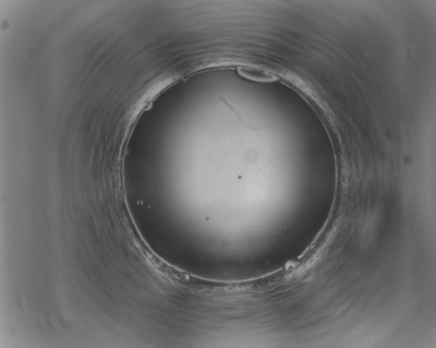 X0000068831145200605051230