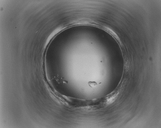 X0000068831146200605051230