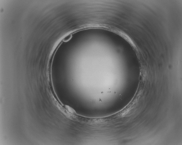 X0000068831148200605051230