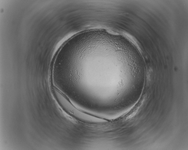 X0000068831149200605051230