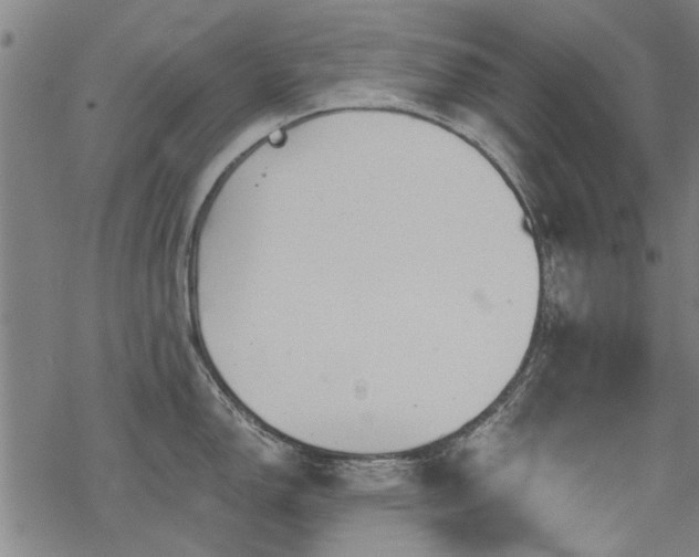 X0000068831150200605051230