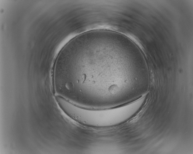 X0000068831151200605051230