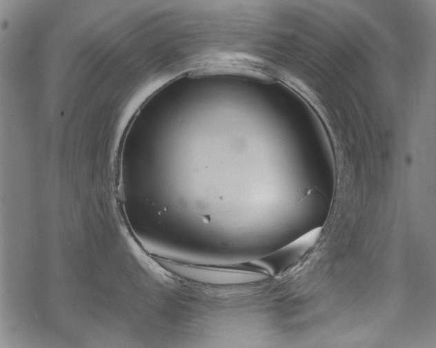 X0000068831152200605051230