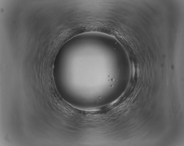 X0000068831153200605051229