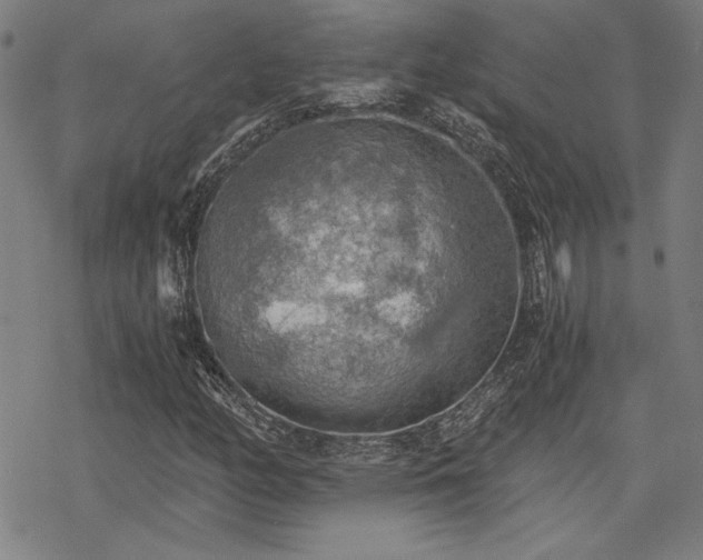 X0000068831158200605051229