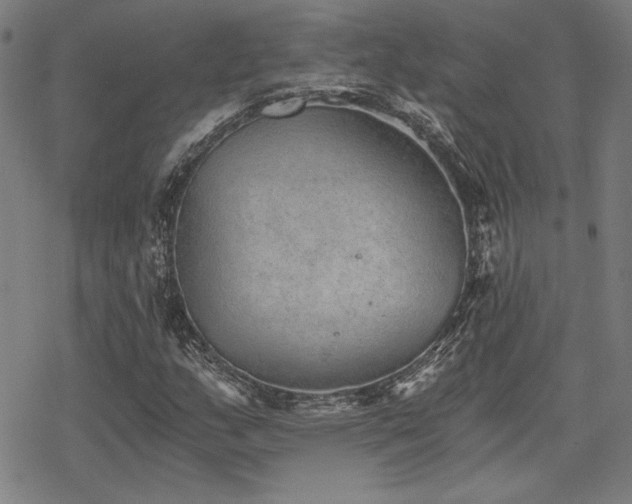 X0000068831159200605051229