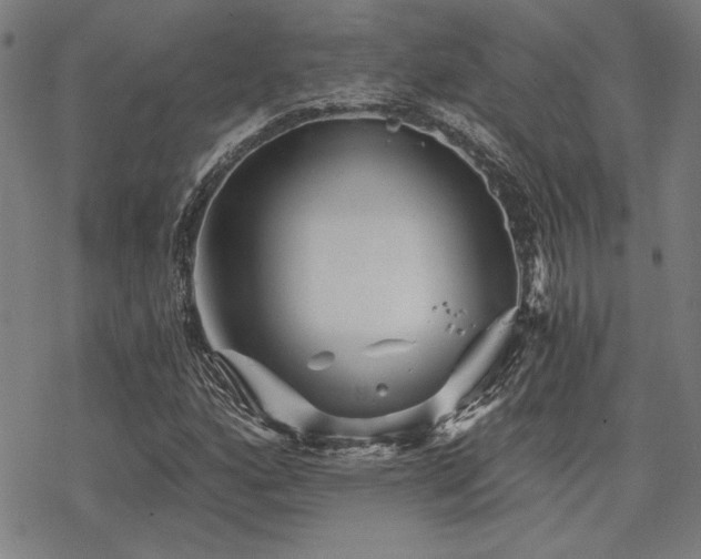 X0000068831160200605051229