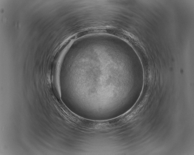 X0000068831161200605051229