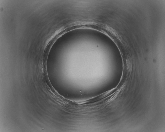 X0000068831165200605051229