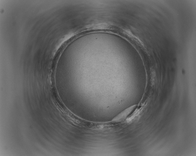 X0000068831166200605051229