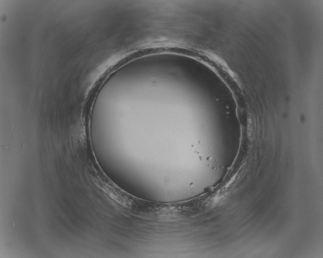 X0000068831167200605051229