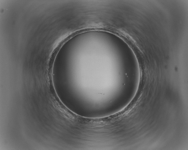 X0000068831168200605051229