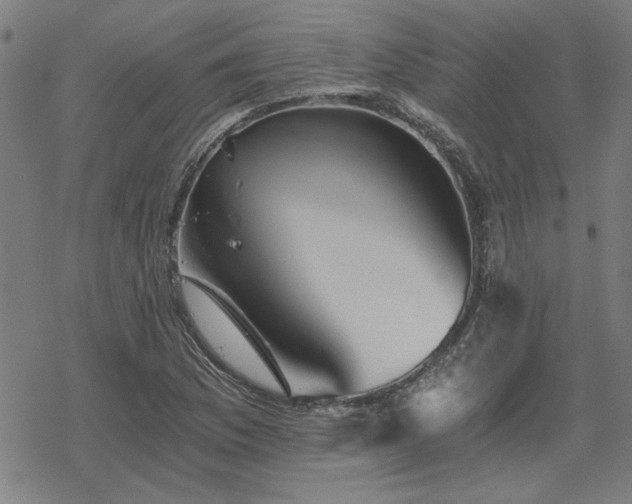 X0000068831169200605051229