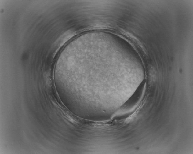 X0000068831170200605051229