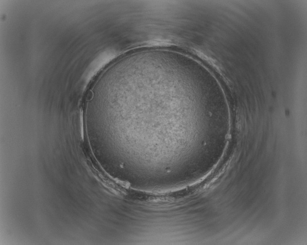 X0000068831171200605051229