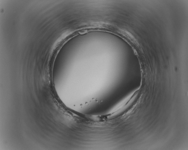 X0000068831172200605051229