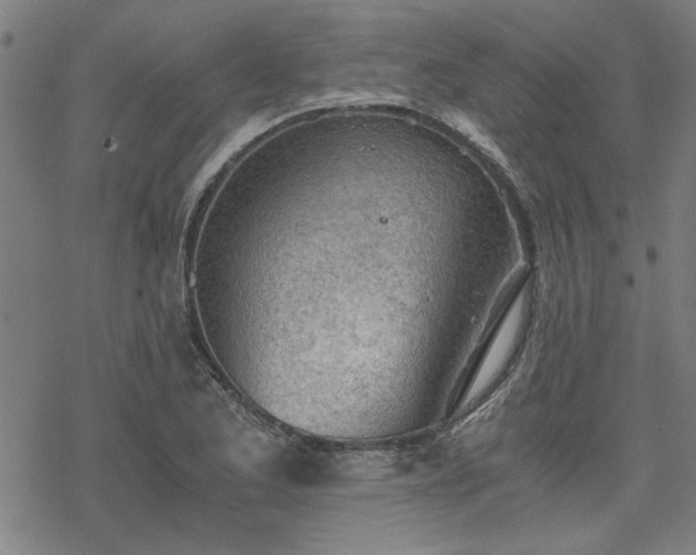 X0000068831173200605051229