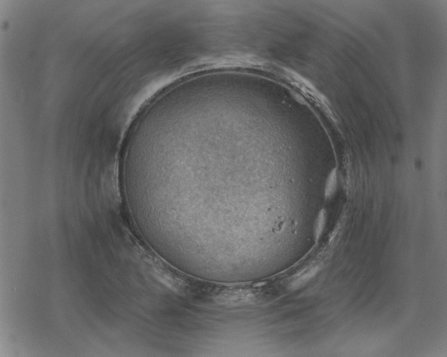 X0000068831174200605051228