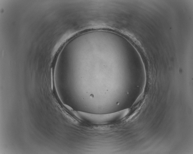 X0000068831175200605051228