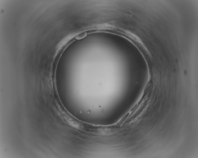 X0000068831176200605051228