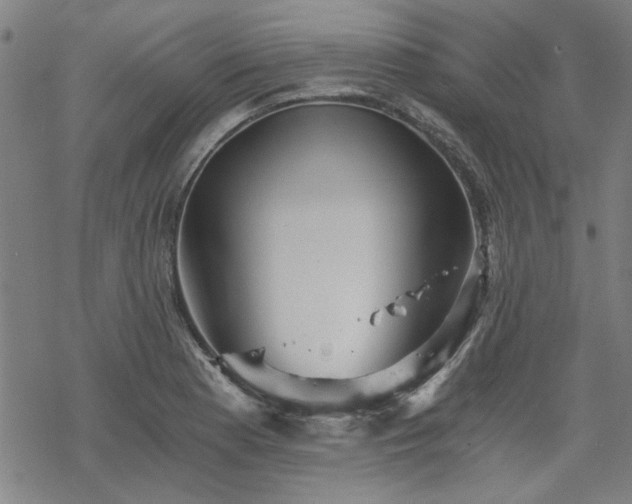 X0000068831177200605051228