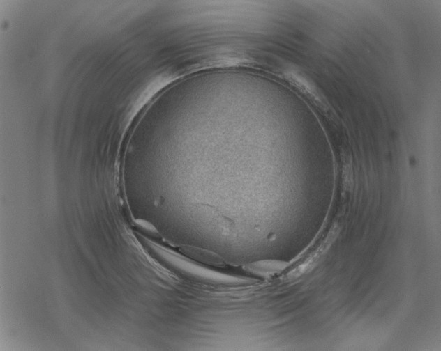 X0000068831178200605051228