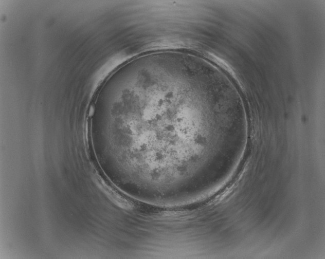 X0000068831179200605051228