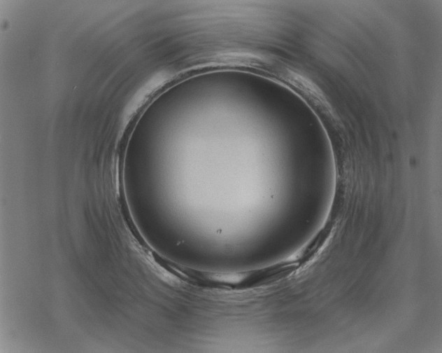 X0000068831180200605051228