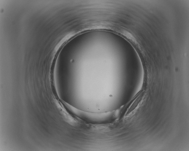 X0000068831181200605051228