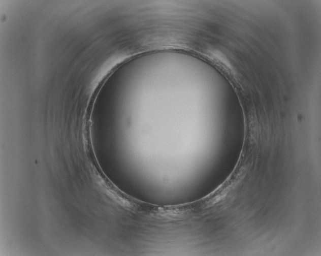 X0000068831182200605051228