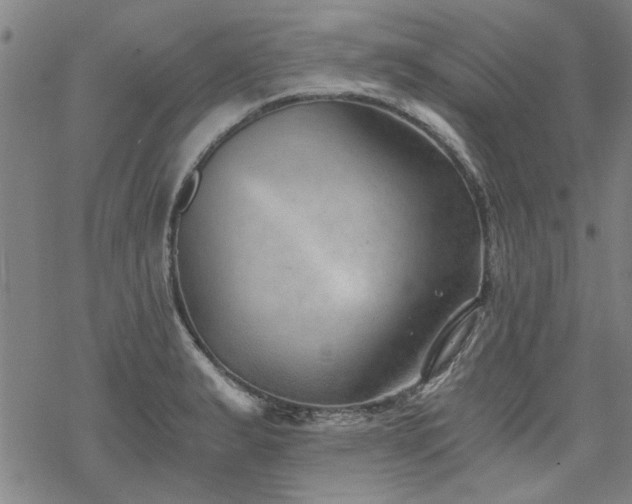 X0000068831183200605051228