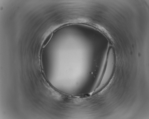 X0000068831184200605051228