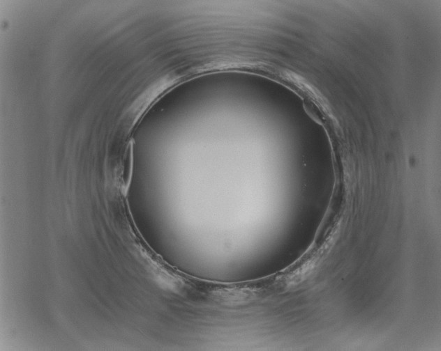 X0000068831185200605051228