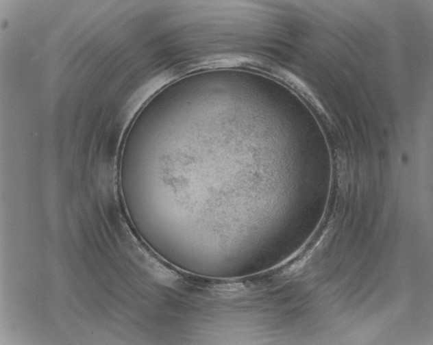 X0000068831186200605051228