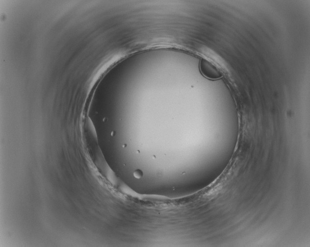 X0000068831190200605051228