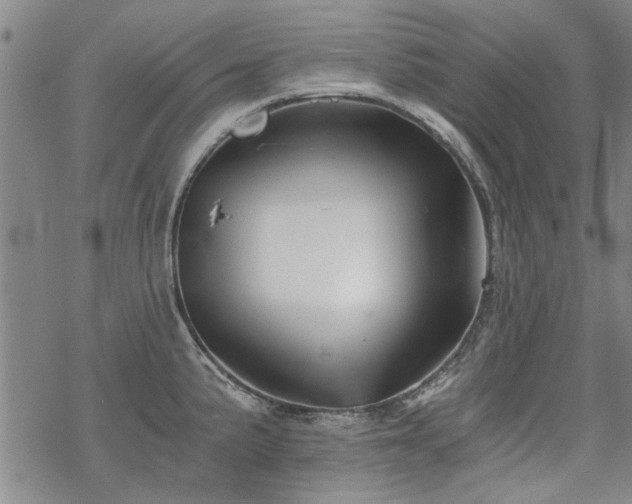 X0000068831191200605051228