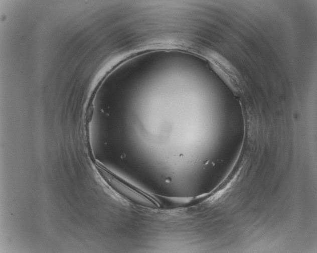 X0000068831192200605051228